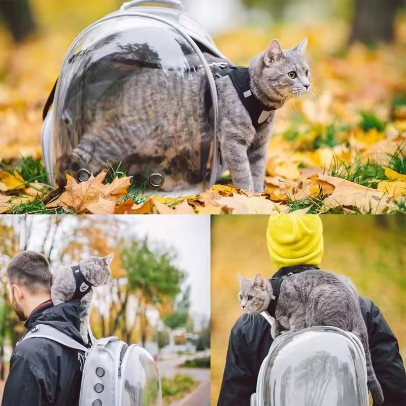 Pet Backpack Carrier with Bubble Window – view 4