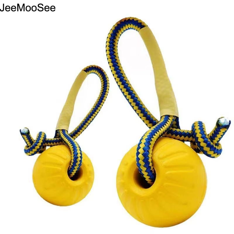 Indestructible Rubber Dog Ball on a Rope – Tough Chew & Fetch Toy