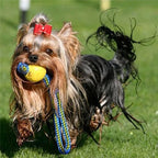 Indestructible Rubber Dog Ball on a Rope – detail view 3