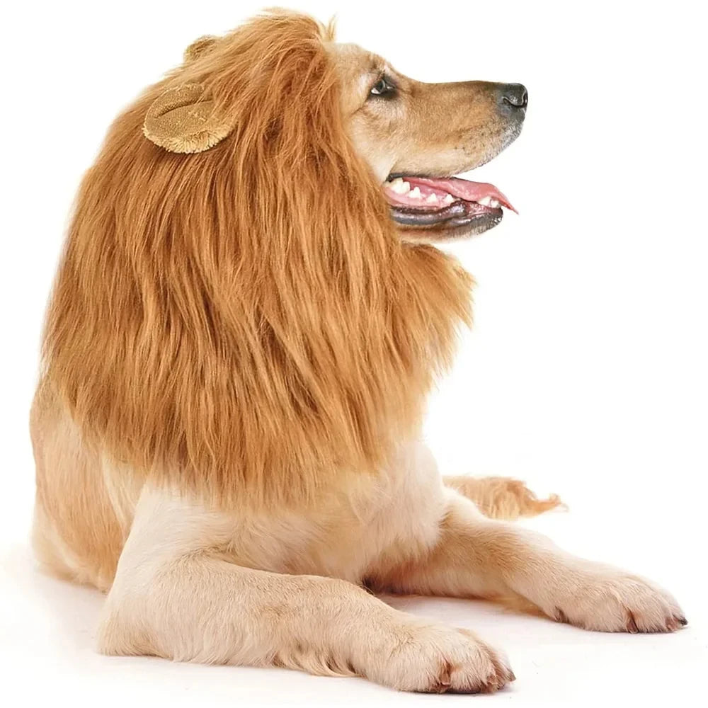 Cute Pet Dog Cosplay Clothes Lion Mane for Dog Costumes Realistic Lion Wig for Medium to Large Dogs with Ear Pet Accessories