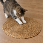 Rattan Cat Scratcher Mat at home
