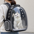 Pet Backpack Carrier with Bubble Window at home