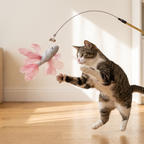 Cat leaping at a betta fish cat teaser wand