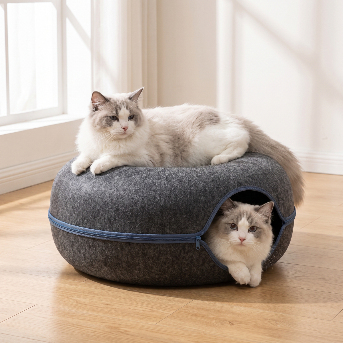 Felt donut cat tunnel bed with two cats