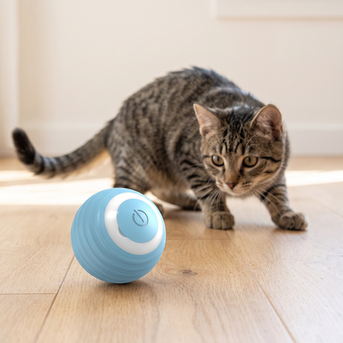 Kitten about to pounce on an automatic rolling cat ball