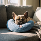 French bulldog puppy resting on a blue pet neck pillow
